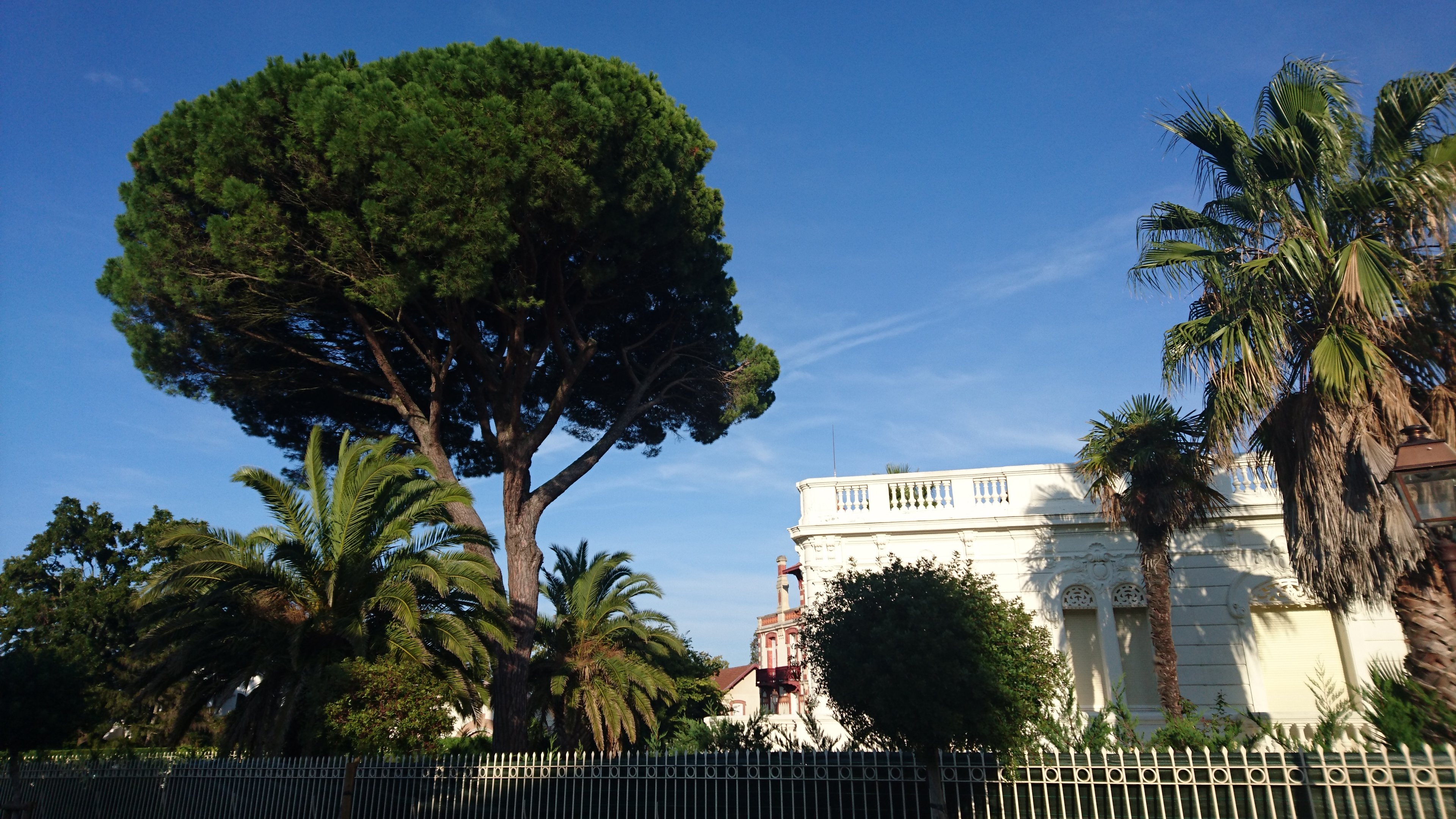 Dsc 1122 largejpg