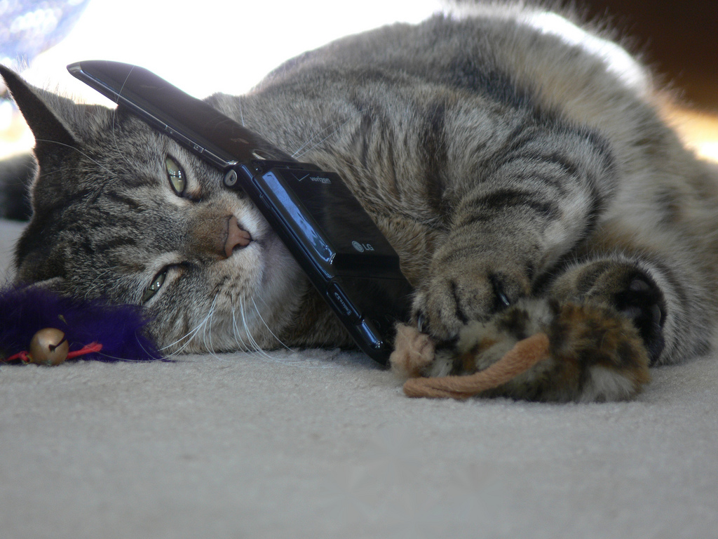 Giggles telephone