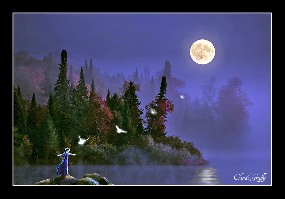 65 le silence de la nuit