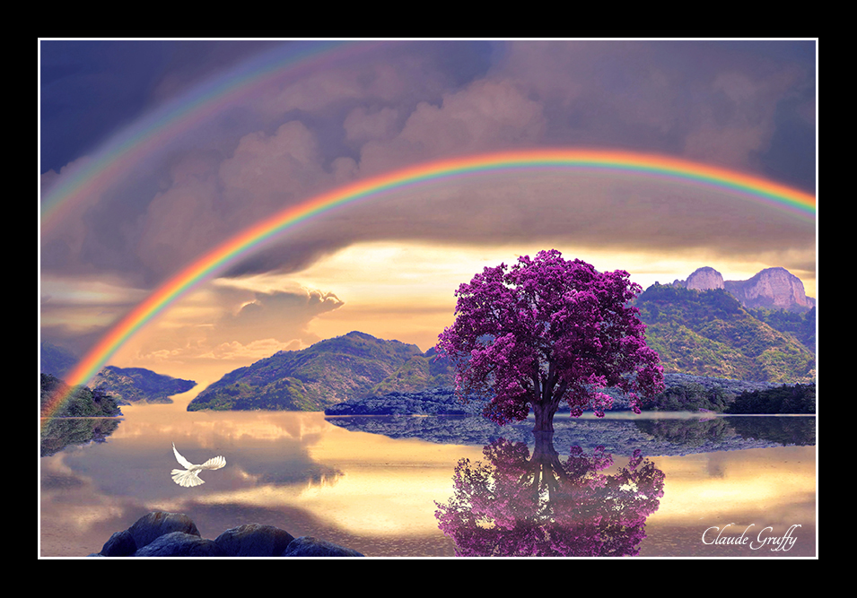 9 le passage de la vie