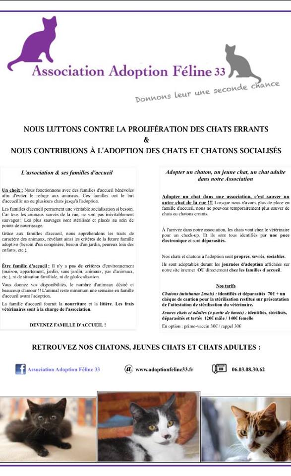 Renseignement asso et tarifs