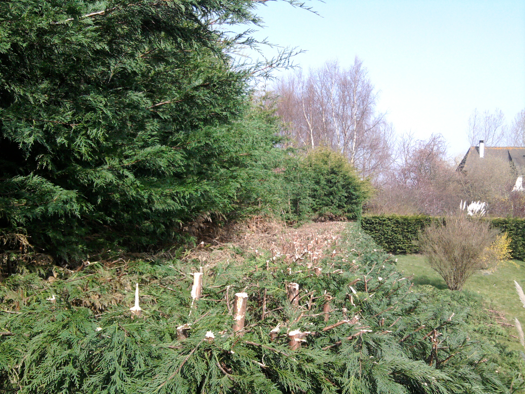 Photo0125