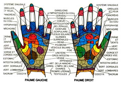 26713232reflexotherapie01 jpeg