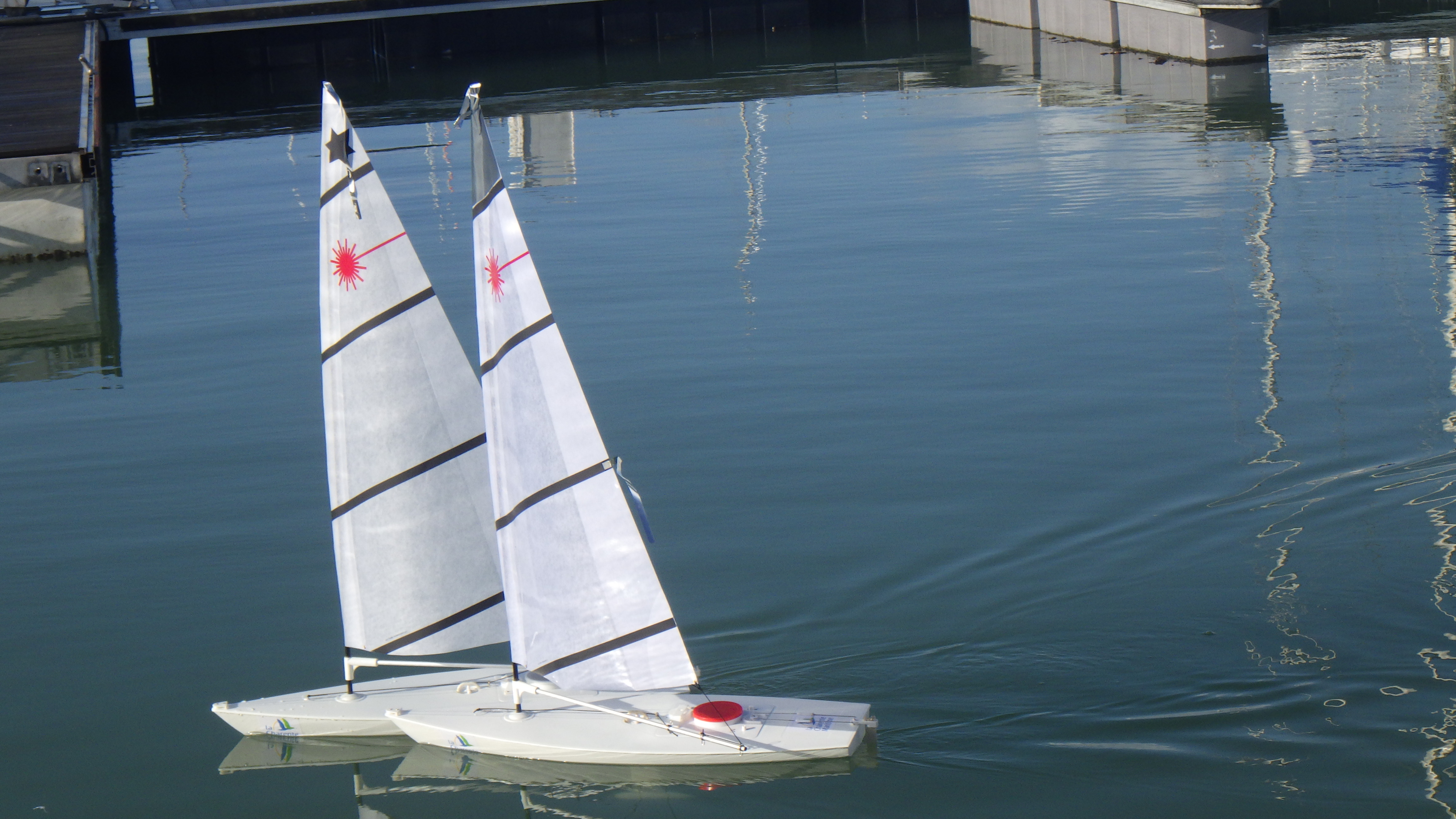 RIMG8550