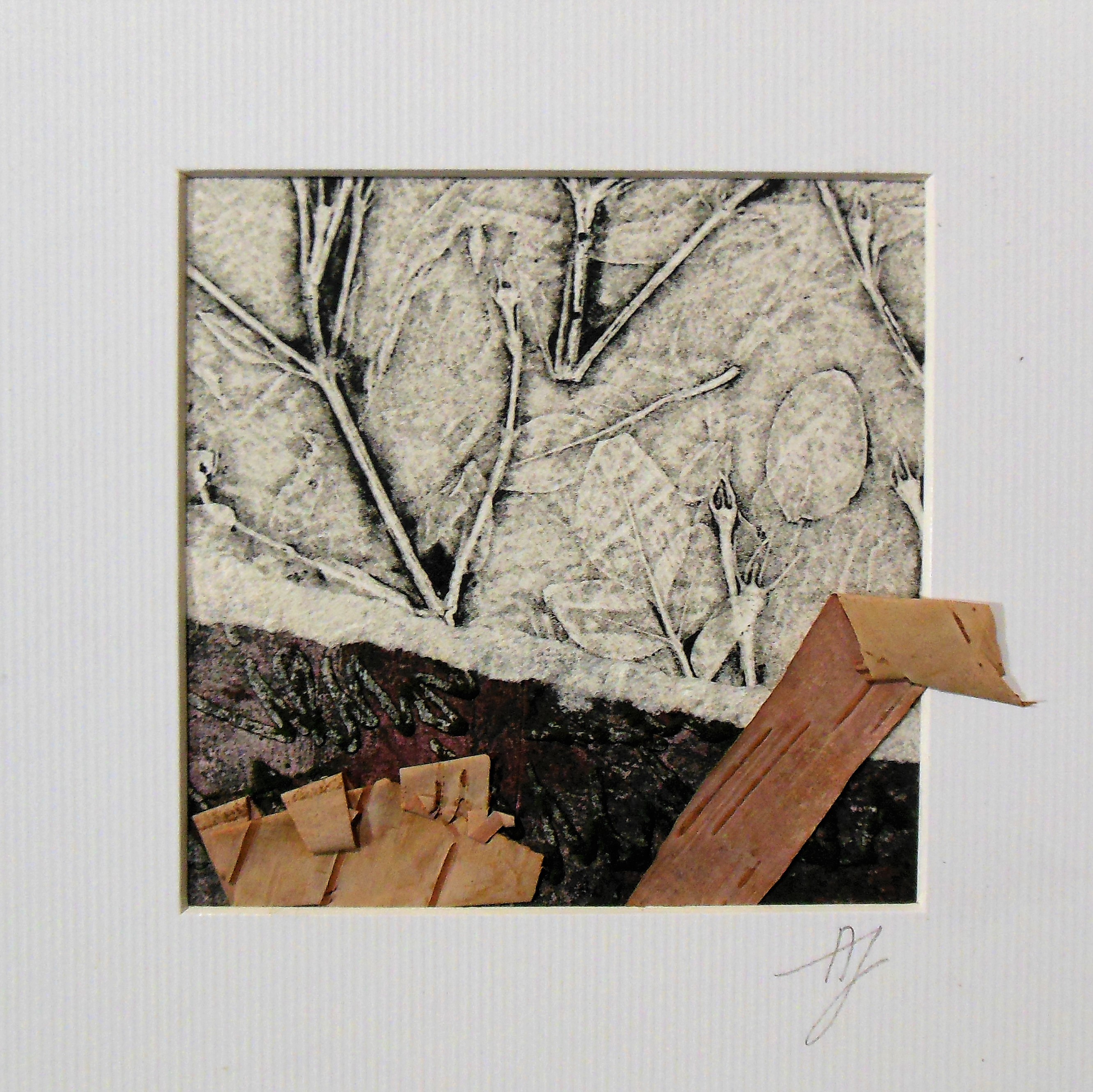 Photto 17