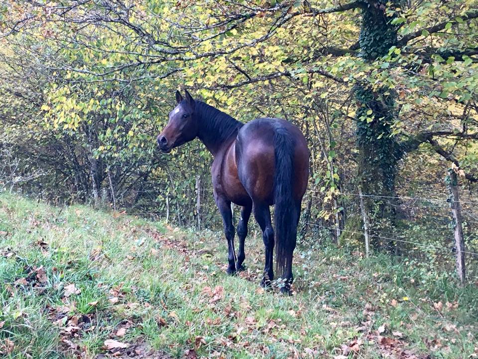 22450180 2023539707890671 2594622356979719856 n