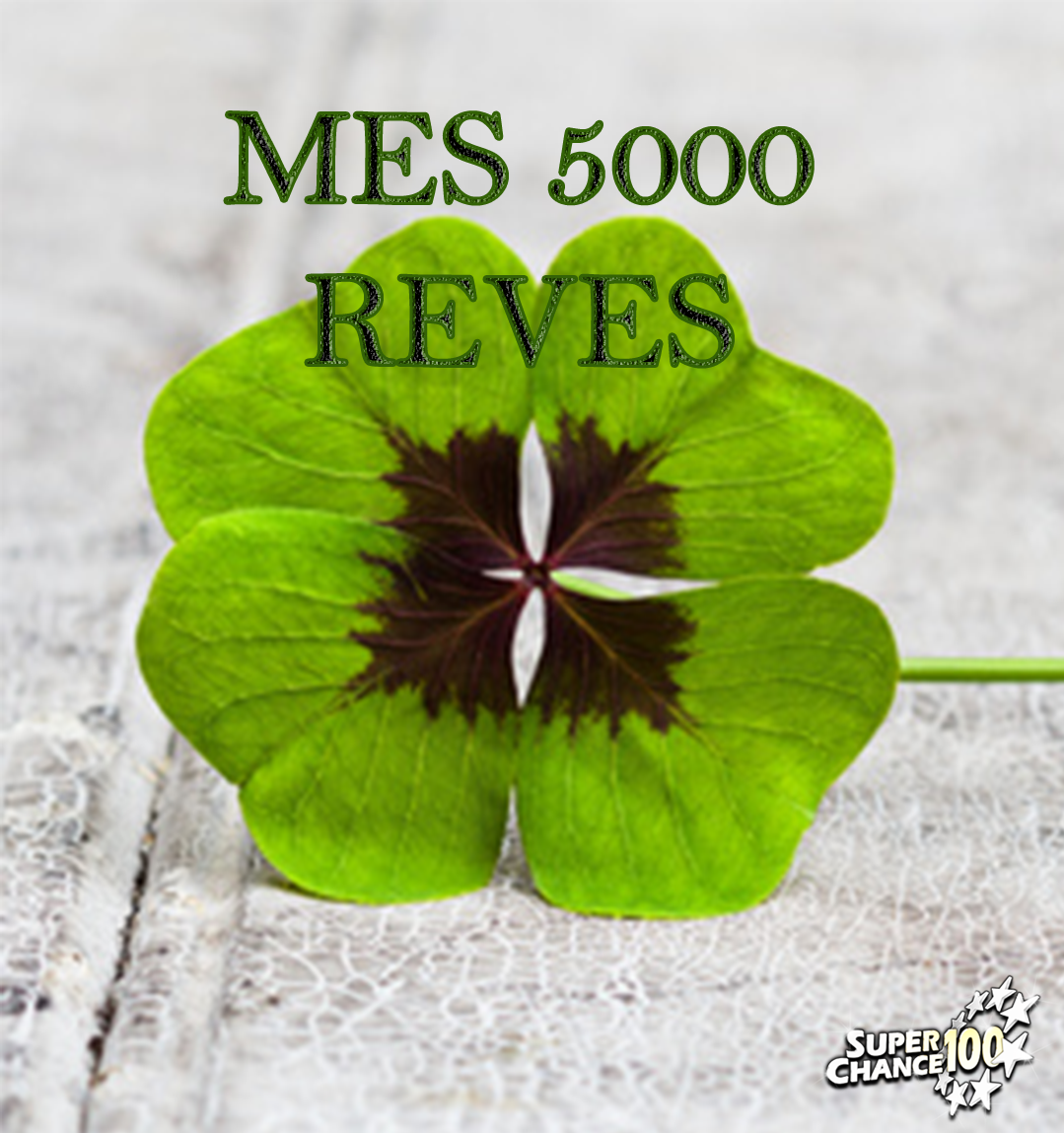 Logo mes 5000 reves