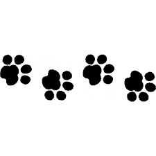 Images2