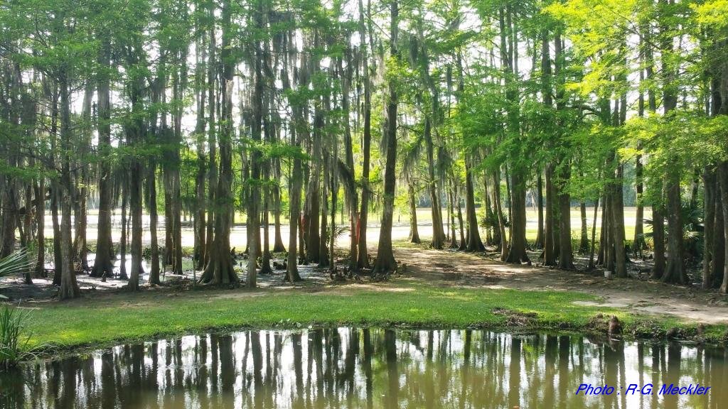 Mississipi2 sitew