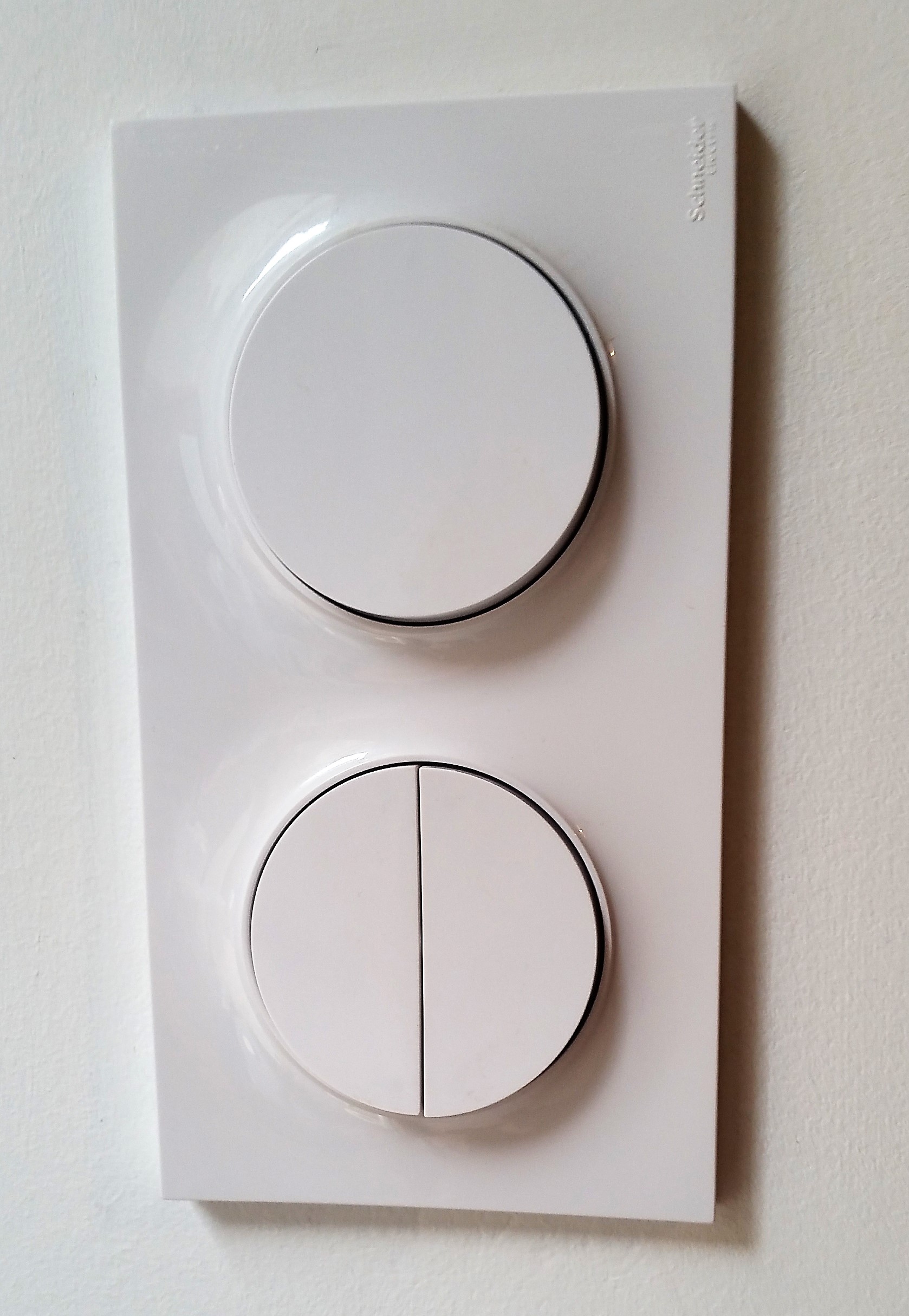 Odace