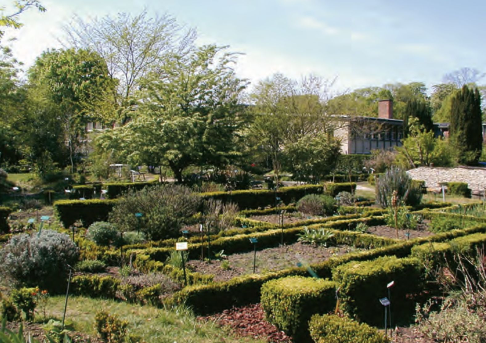 Jardin 2