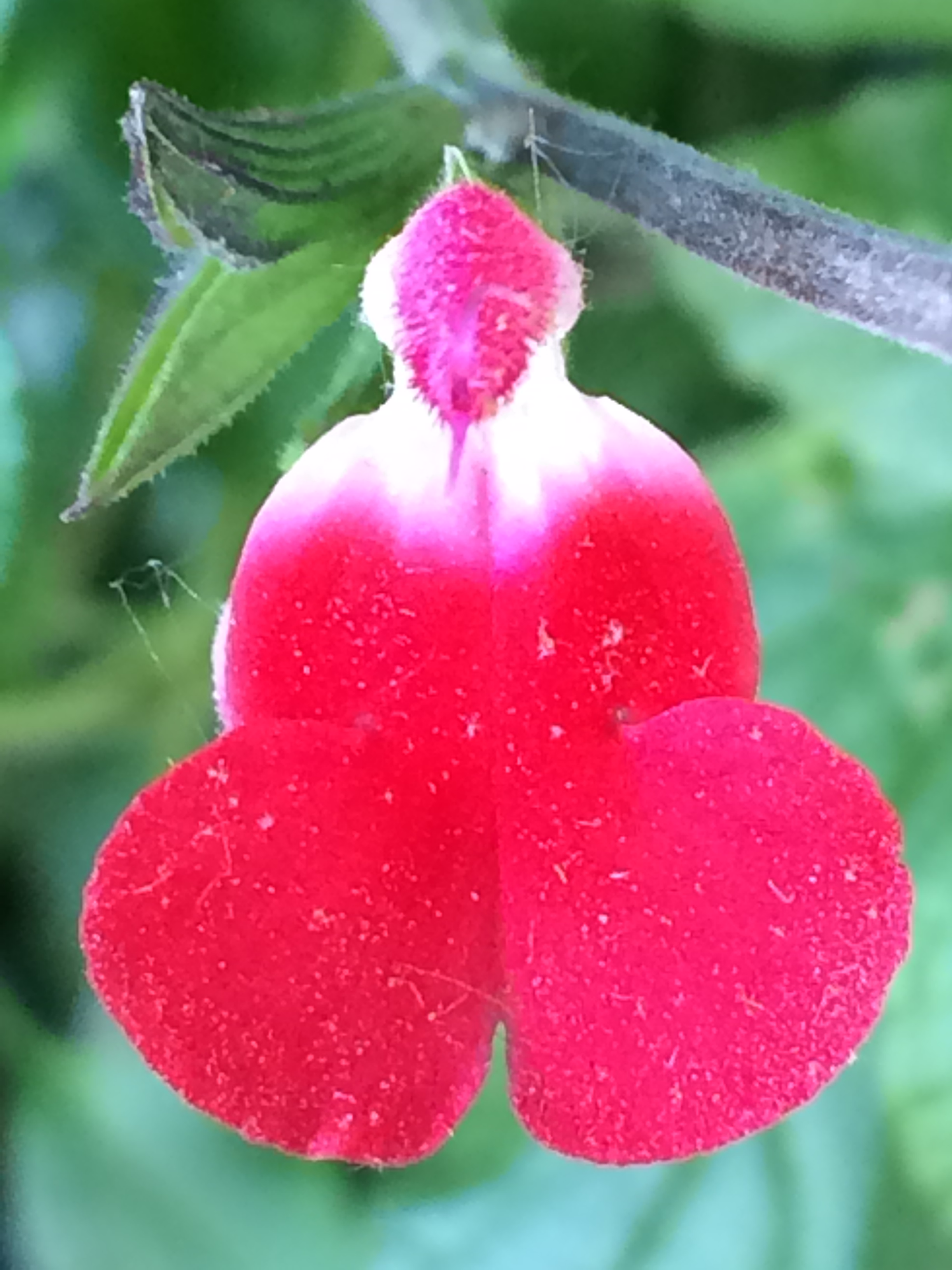 087