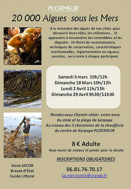 La mer monte