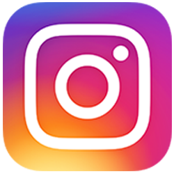 Ig logo email
