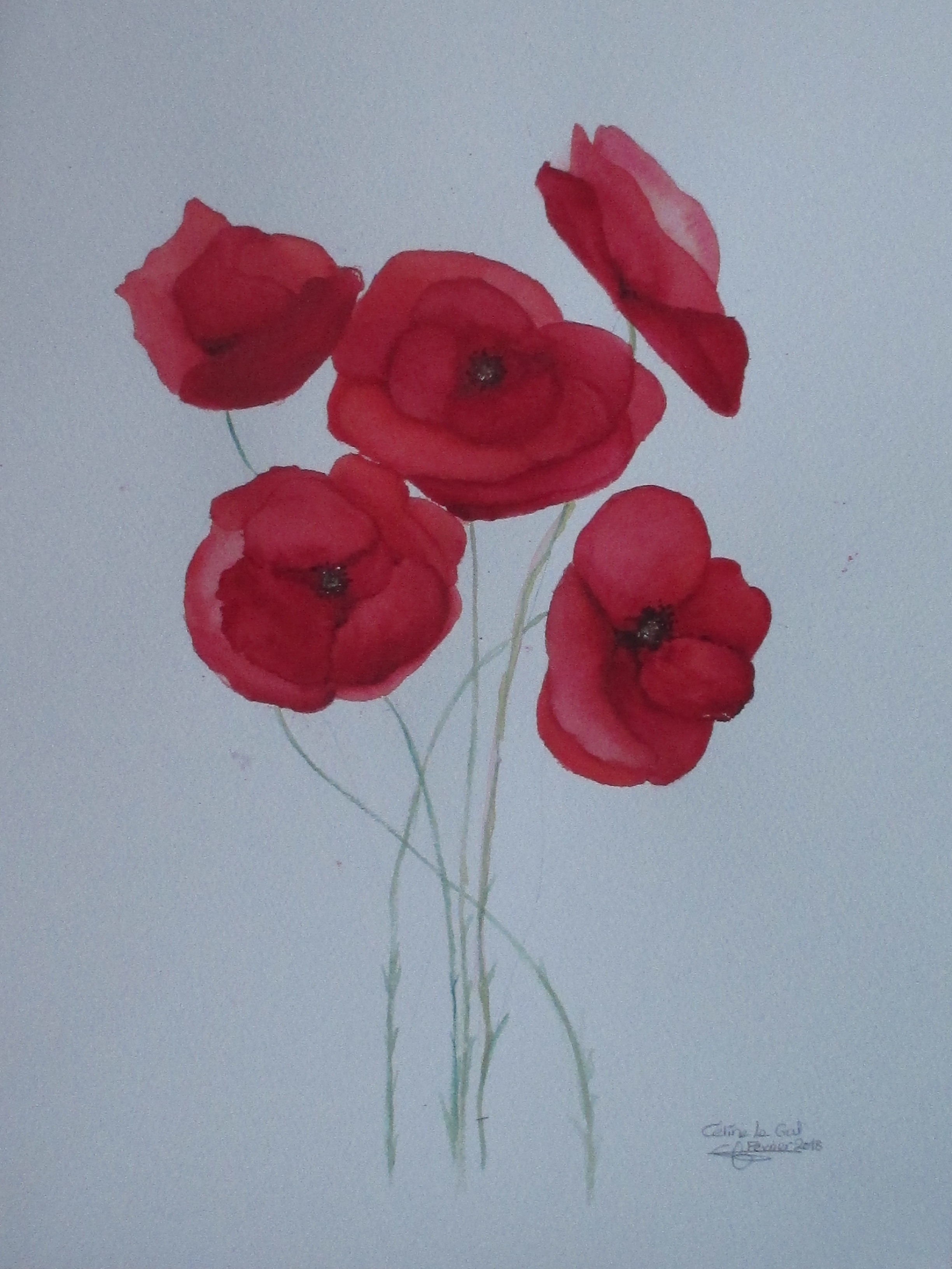 Rouge les fleurs celinelegal2018