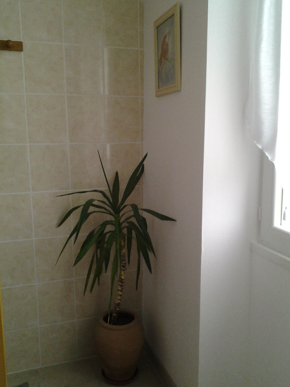 Salle de bain Romantique 1