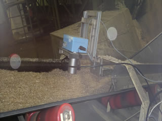 Bagassehk8 1 