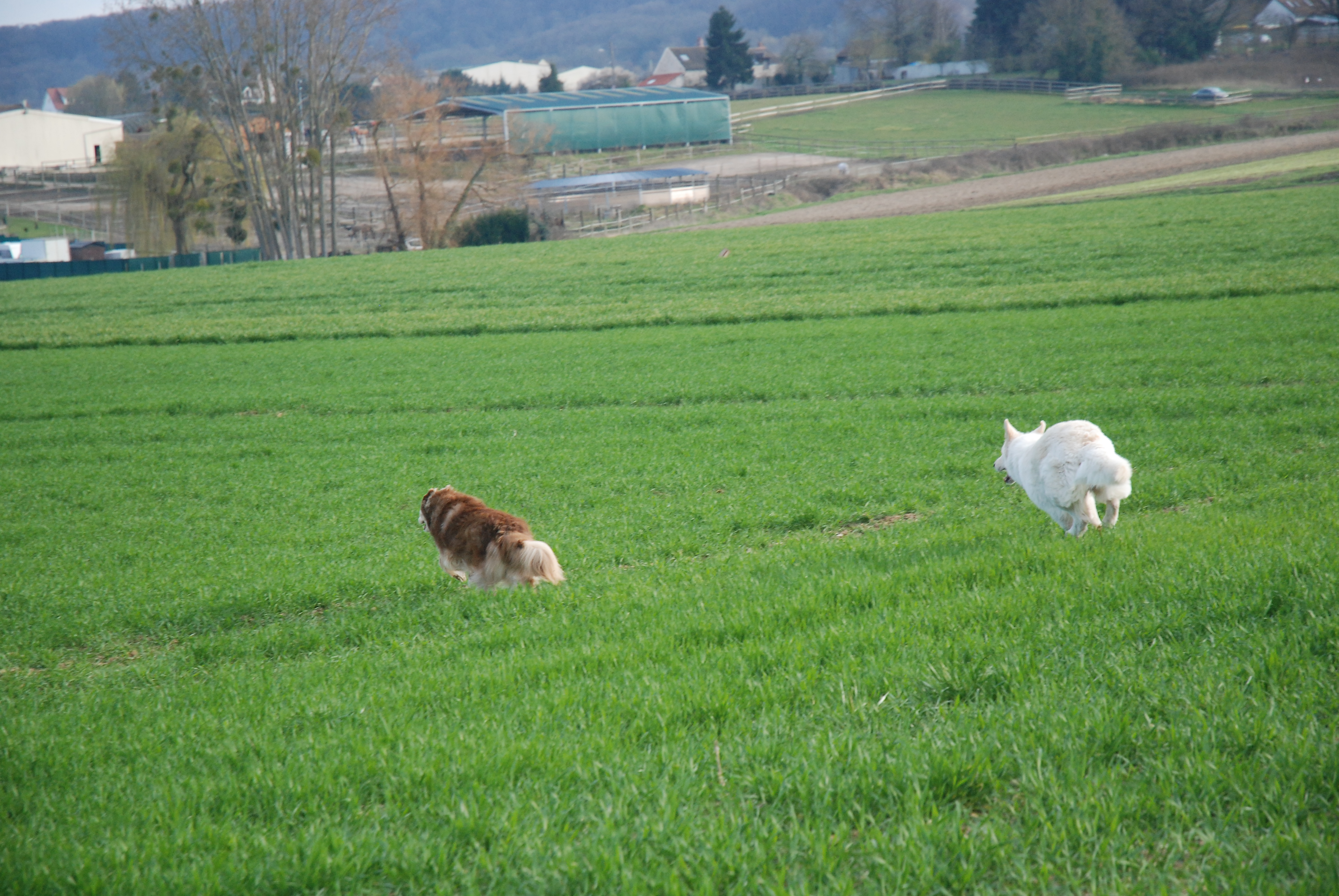 DSC 7655