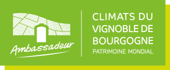 Signature ambassadeur FR