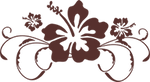 Logo trans hibiscus