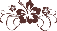 Logo trans hibiscus