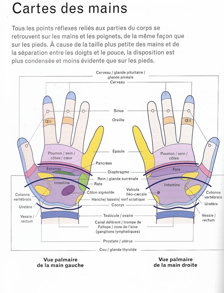 Main palmaire