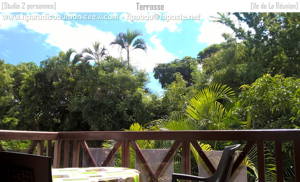Corallines terrasse 03