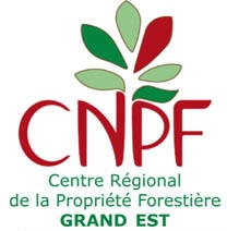 Cnpf