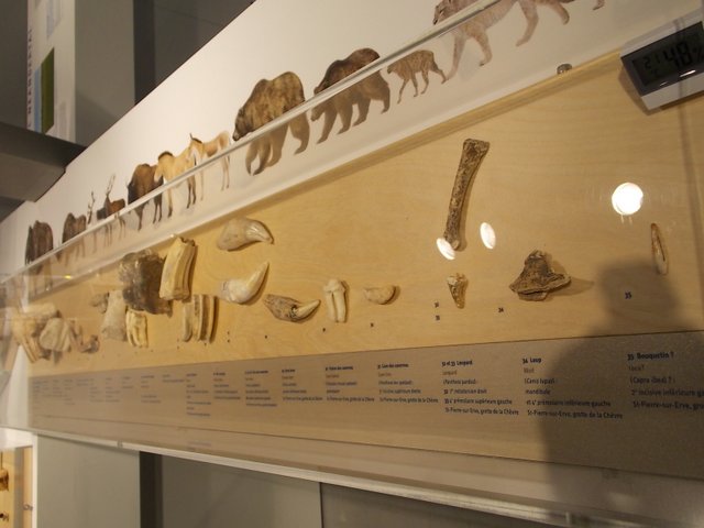 Dscn0373