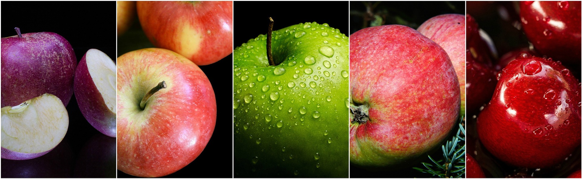 Apple 1526581 1920