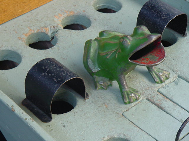 Tete de la grenouille