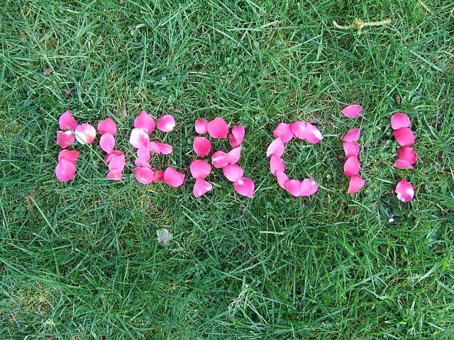 Merci2