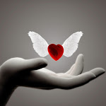 Main coeur ailes