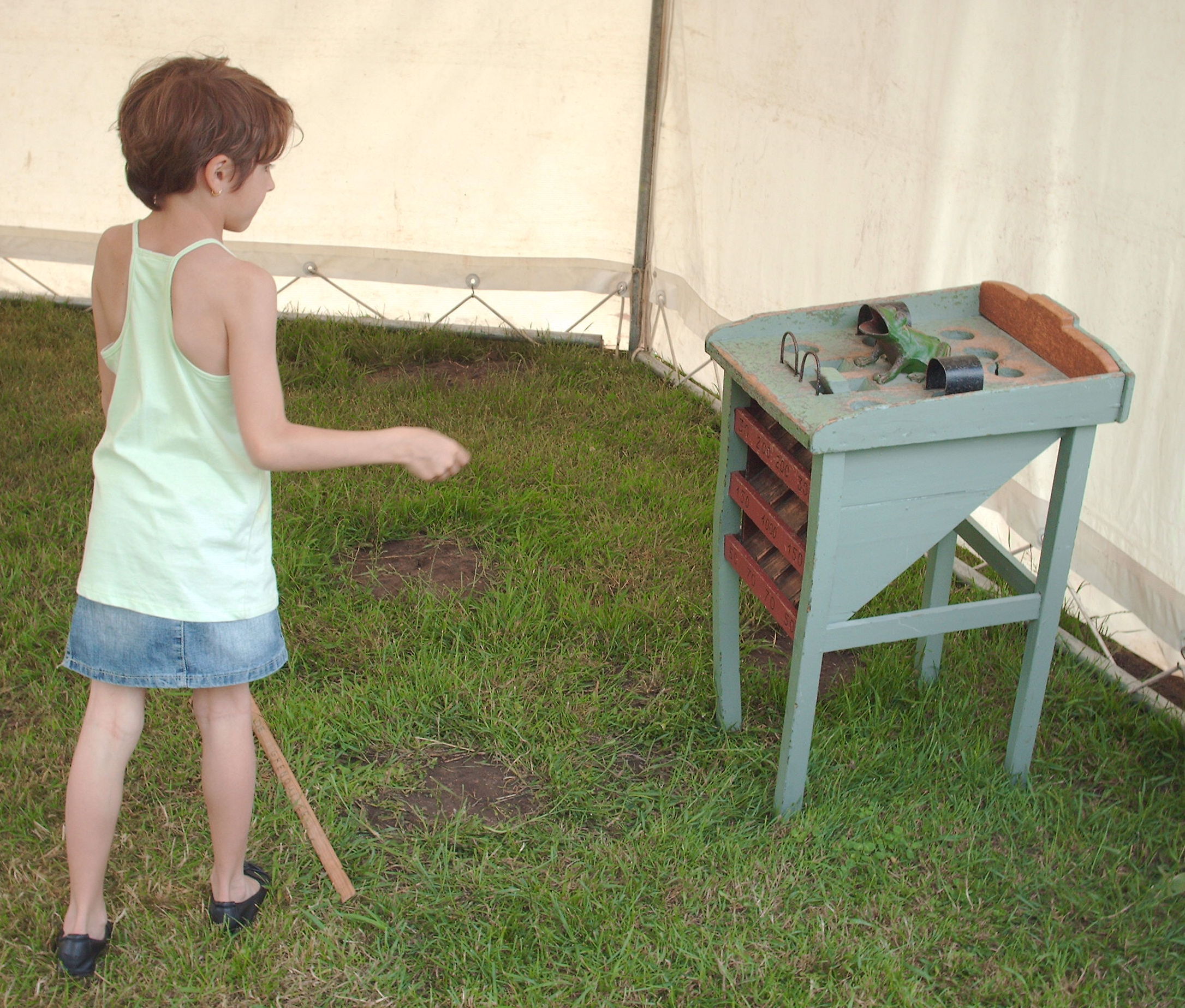 Grenouille dans un stand