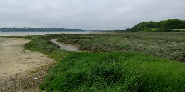 Mordreuc 7 