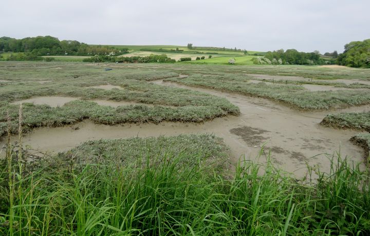 Mordreuc 8 