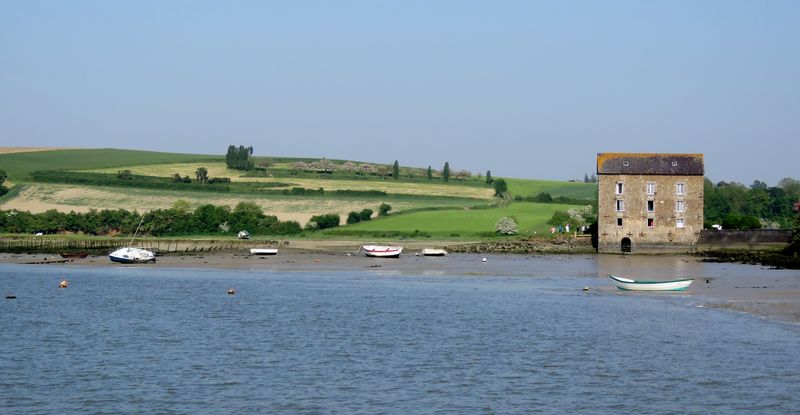 Img 0951
