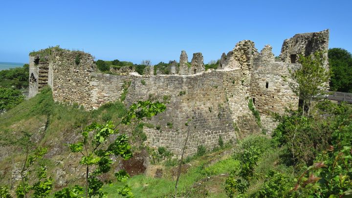 Guildo 8 