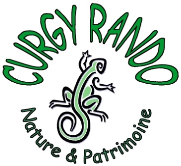 Logo 02