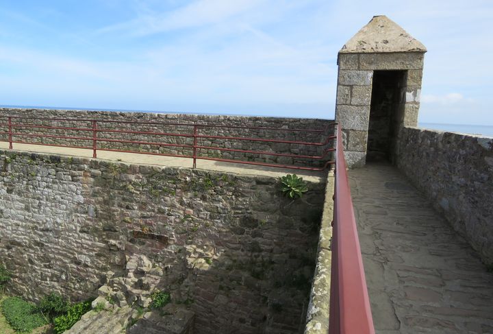 Fort4 1 