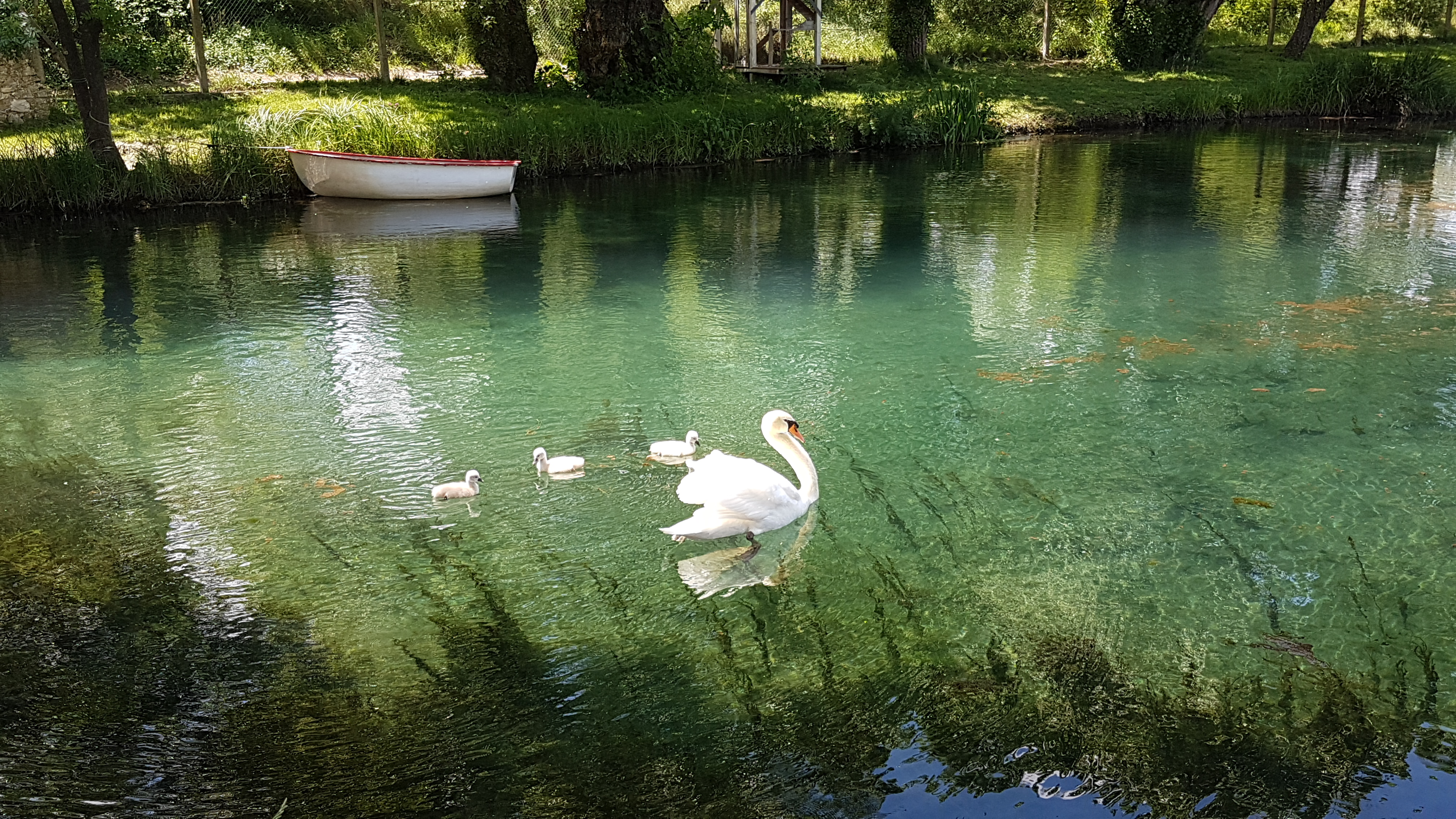 Photo du 17 mai 2018 037