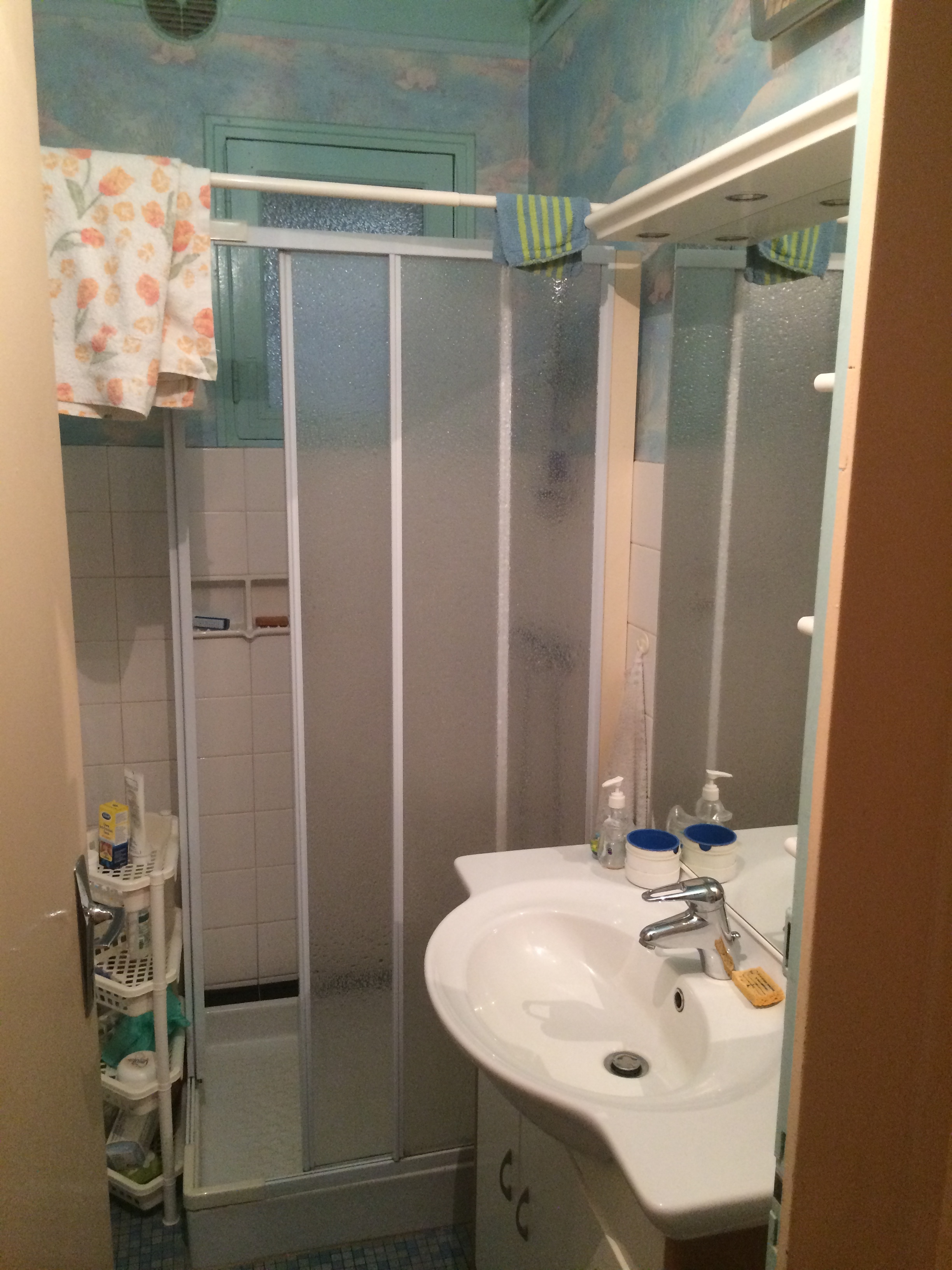 Renovation de salle bain avrille 11