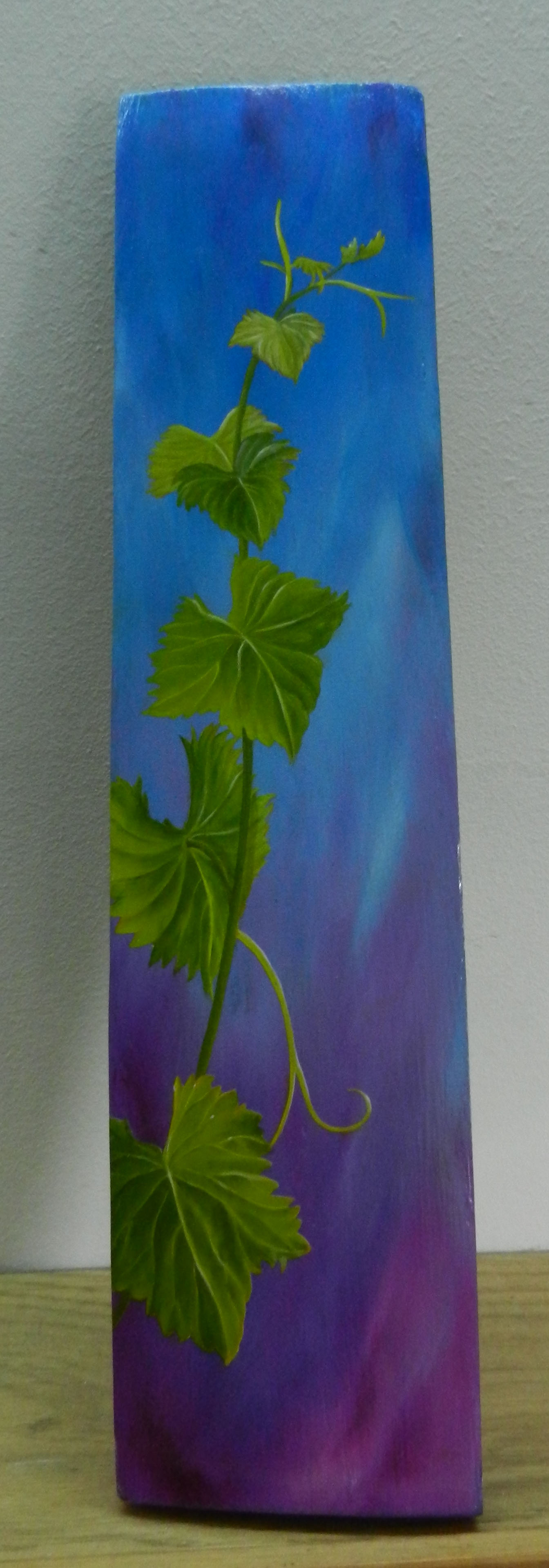 Feuilles de vignes