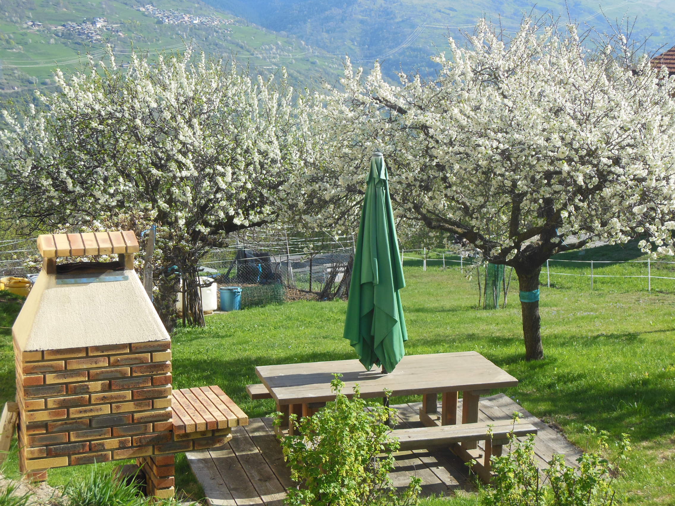 Maison mai 2018 006