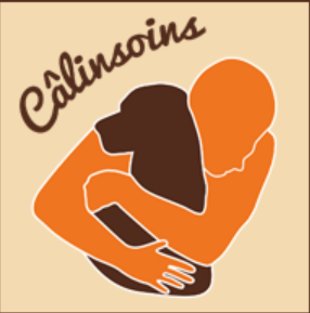 Logo Calinsoins