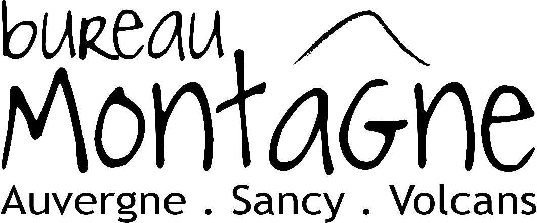 Logo ASV noir