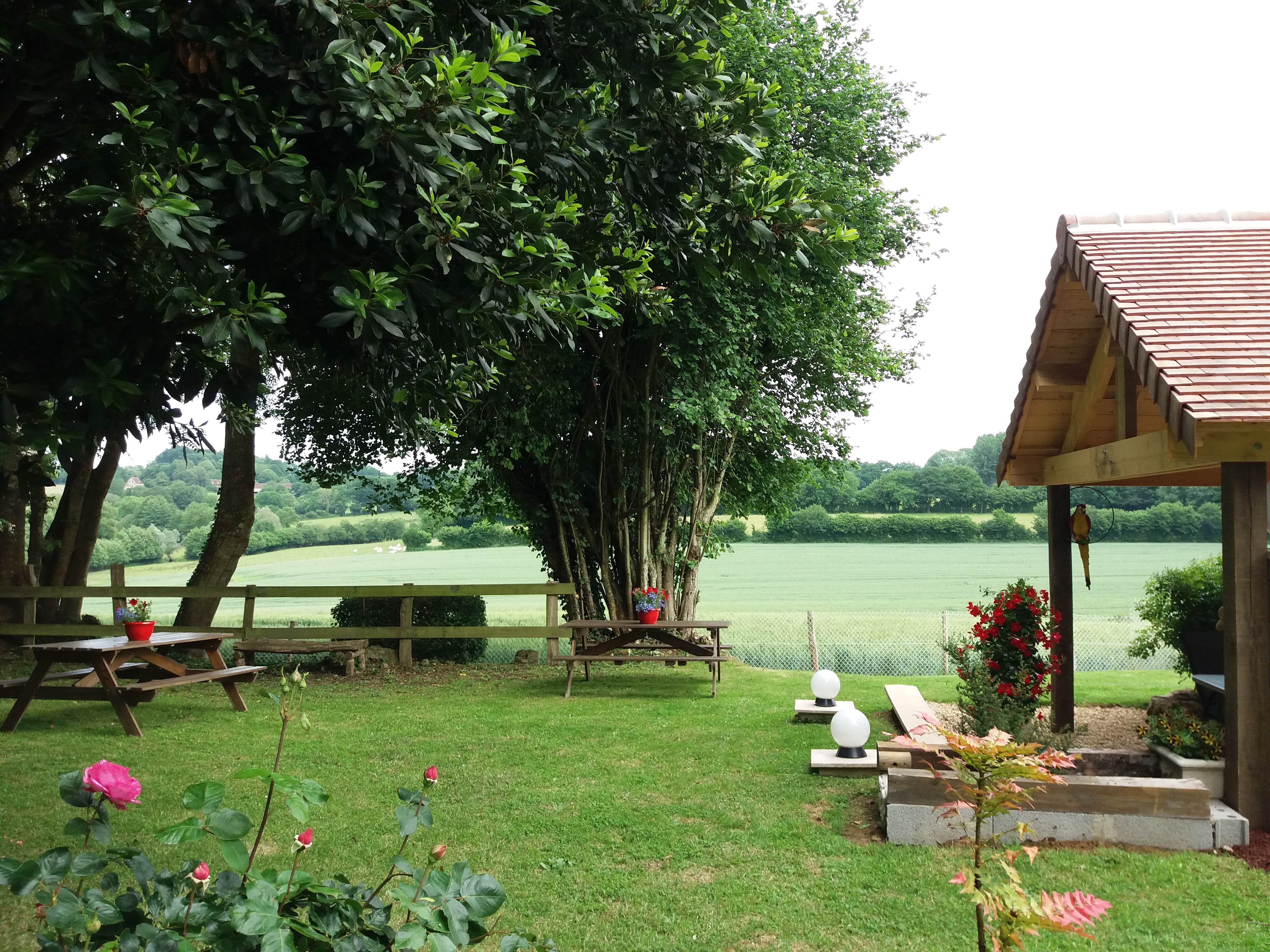 Jardin vue champs