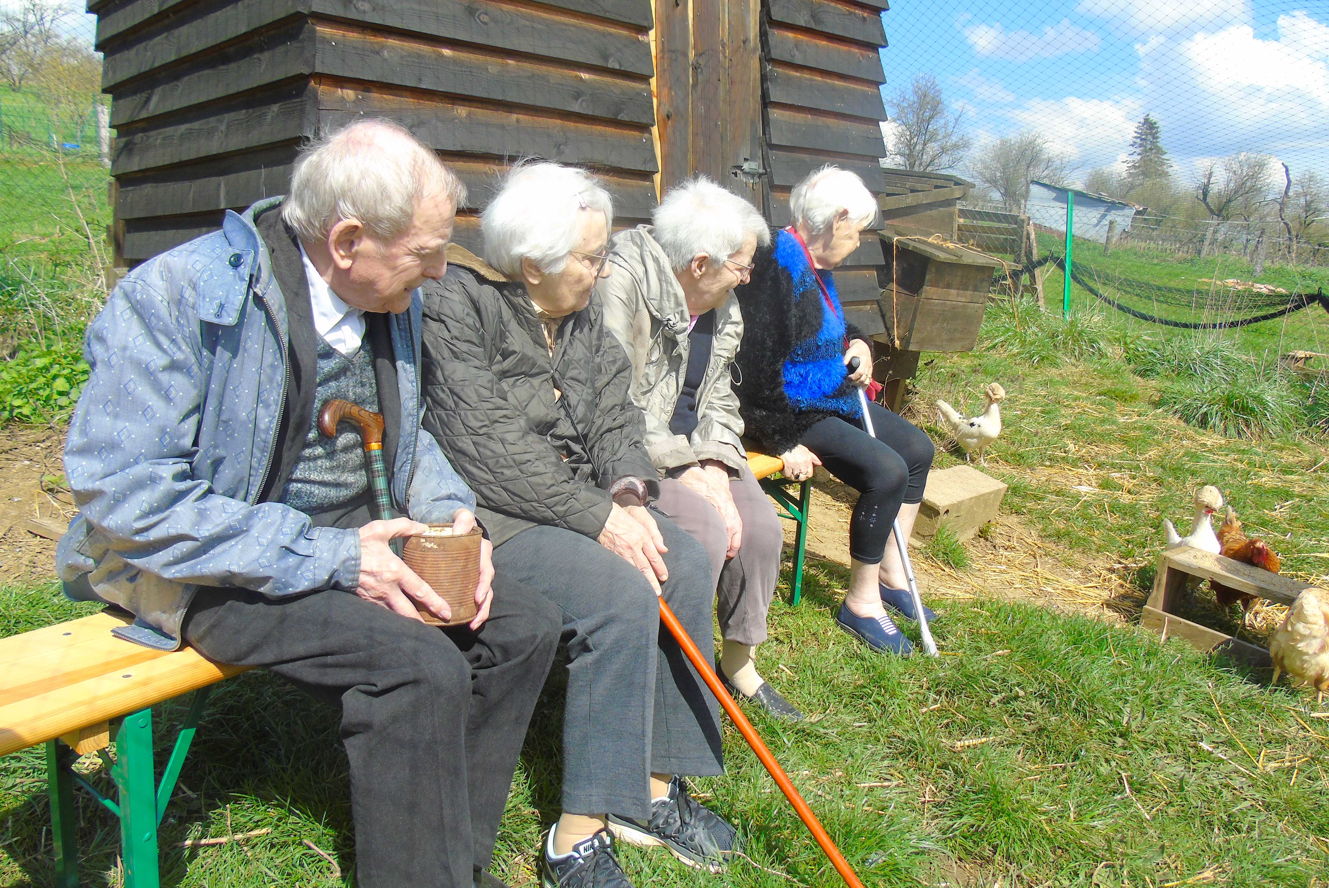 Compagnie des anes 3