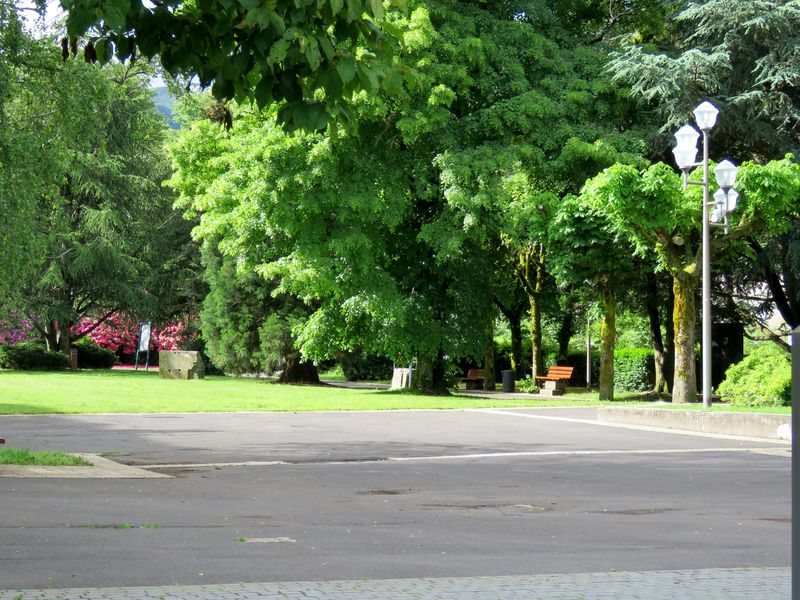 Dor 1 