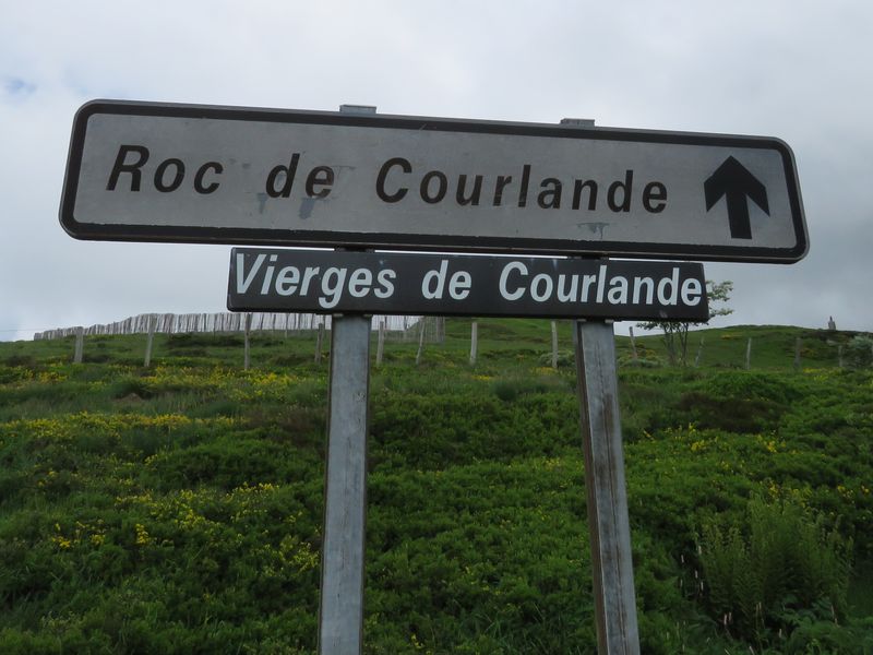 Courland 1 